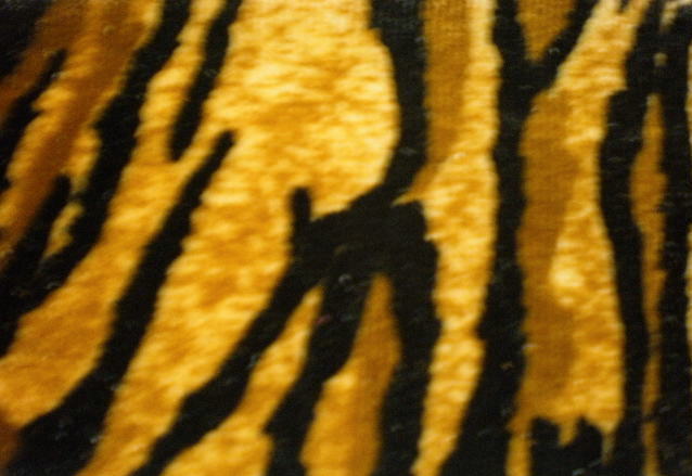 11.Brown-Black Tiger Velvet